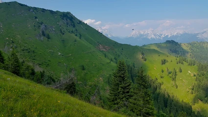 freccia di pecore.jpg